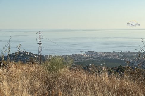 IMG_5335