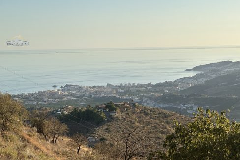 IMG_5344