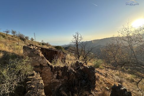 IMG_5360