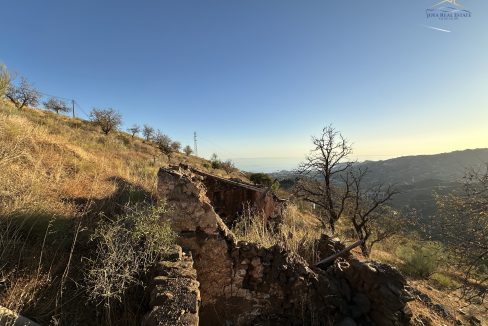 IMG_5363