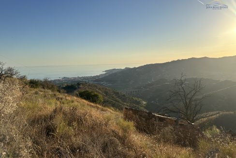IMG_5370