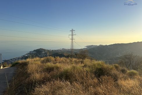 IMG_5377