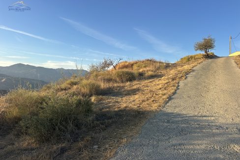 IMG_5382