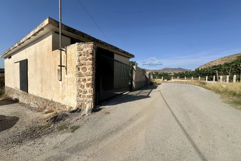 IMG_6347