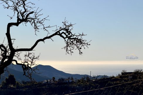 IMG_3282