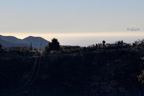 IMG_3289