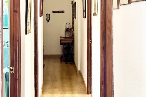 IMG_8431